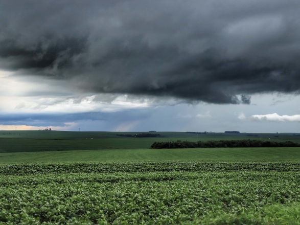 Renegociação de dívidas, seguro rural e preço do leite pautam reivindicações do setor produtivo paranaense ao governo federal