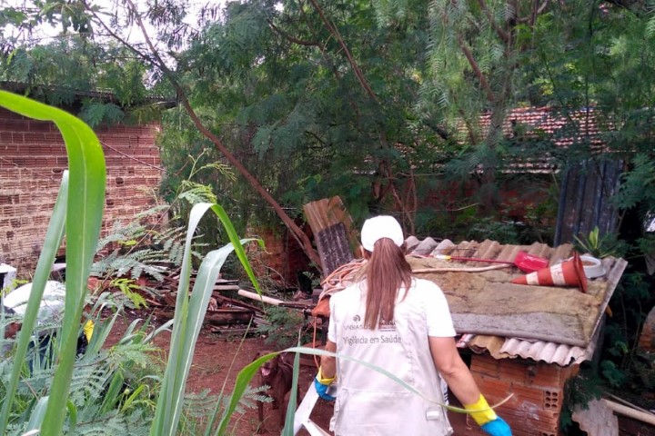 DENGUE: Paraná registra 57 óbitos e mais de 76 mil casos da doença