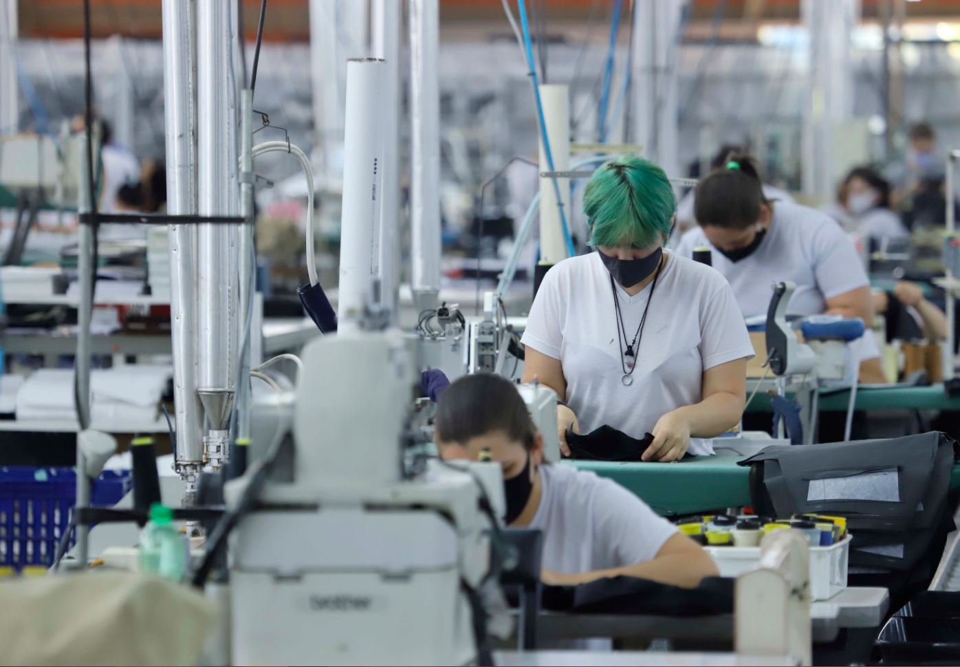 EMPREGO: 71% dos municípios do Paraná têm saldo positivo de emprego em novembro