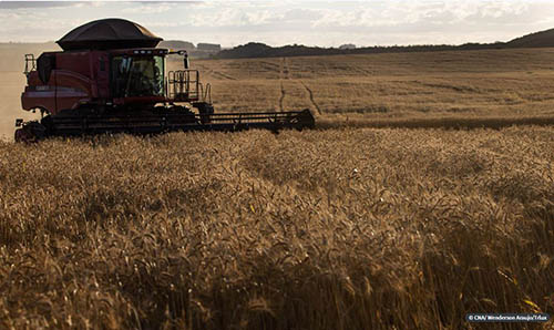 CREDITO RURAL: Empréstimos aumentaram 18% em relação ao último semestre de 2019