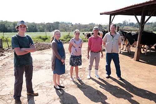 PRIMATO: Atividade leiteira contribui para manter projeto de apoio comunitário 
