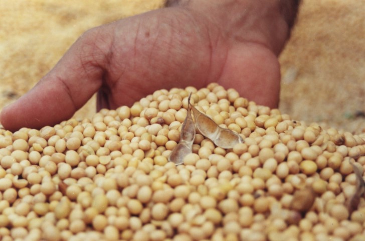 SOJA II: Declaração de Macron demonstra “desespero” em relação ao desenvolvimento do agro brasileiro, diz FPA