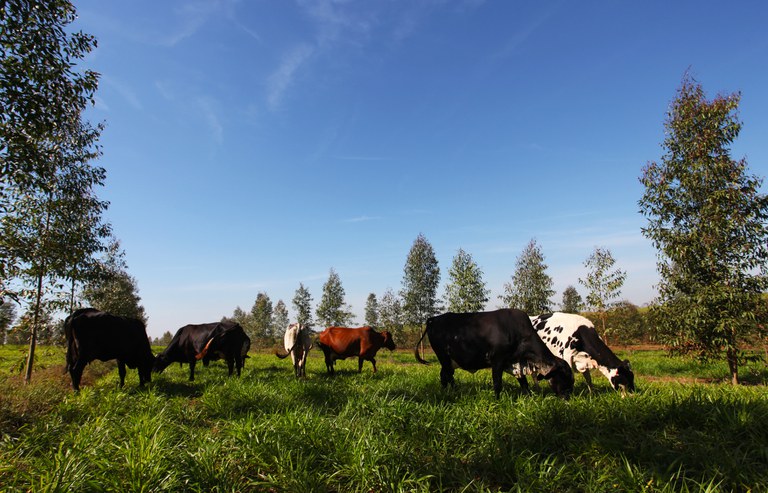 AGRICULTURA SUSTENTÁVEL: Governo Federal institui sistema para monitorar Plano ABC 2021/2030