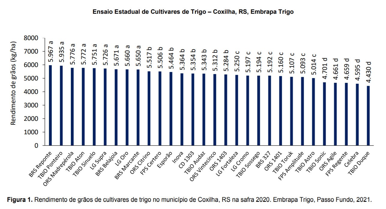 trigo tabela 03 02 2021