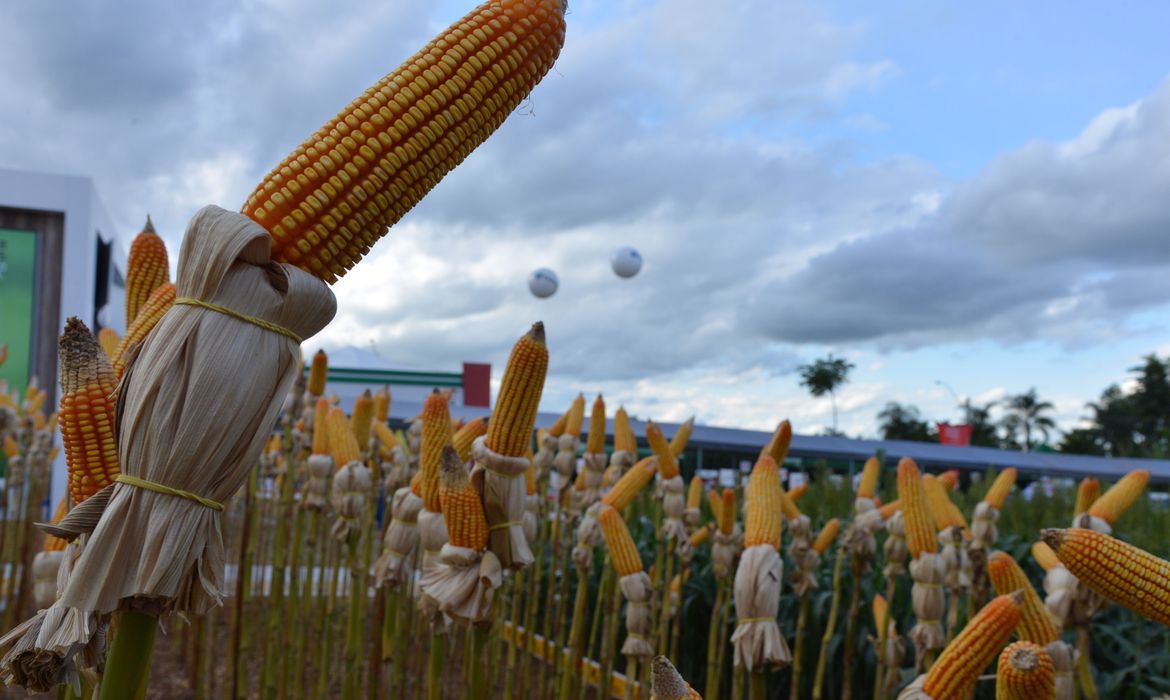 BNDES: Programa Crédito Rural financia agropecuária com R$ 1,7 bilhão em 2020