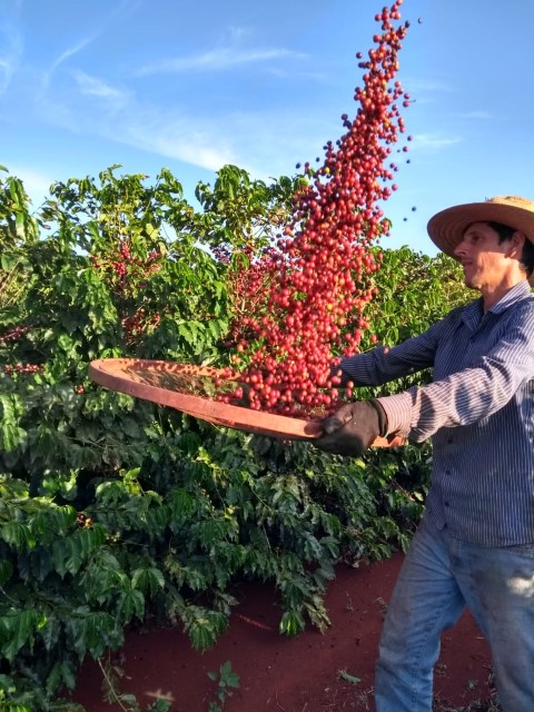 COCARI:  Conheça a Rota do Café e saiba mais sobre a participação dos produtores rurais no programa