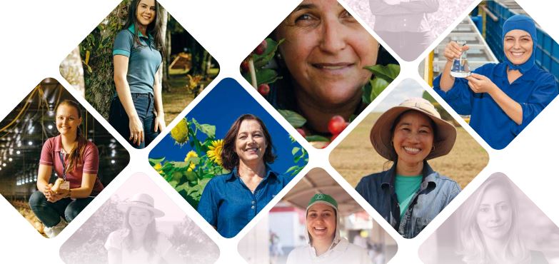 8 DE MARÇO: Sistema Ocepar homenageia as mulheres do cooperativismo