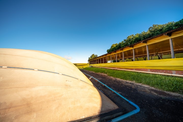 ENERGIA: Fórum online debate potencial da produção, aponta soluções e proporciona negócios para o biogás e biometano