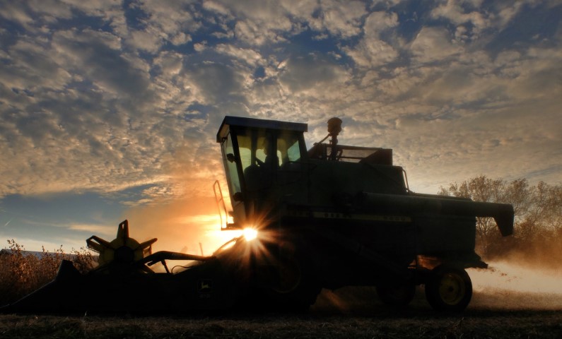 VBP: Valor da Produção Agropecuária está previsto em R$ 1,032 trilhão neste ano