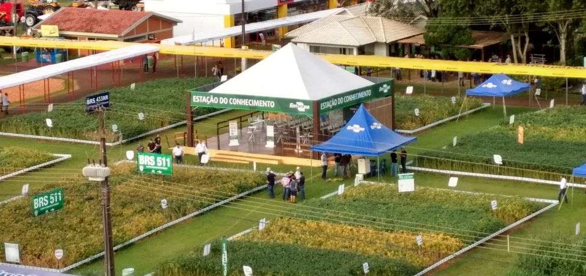 COOPAVEL: Embrapa cria canal especial dentro da versão online do 33º Show Rural
