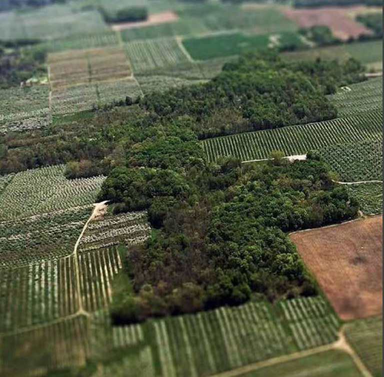 CAR: Boletim Especial informa que há mais de 7 milhões de imóveis ou posses rurais cadastrados