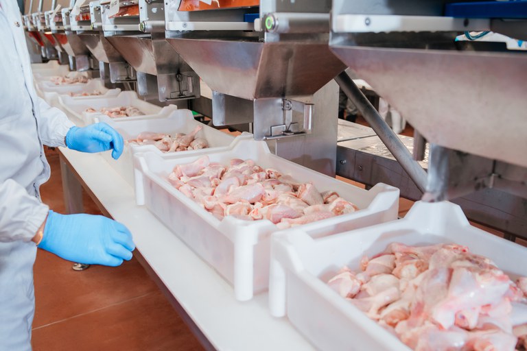 SIF: Brasil habilita 136 estabelecimentos de produtos de origem animal para exportação no primeiro trimestre