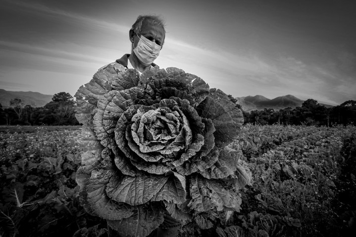 FOTOJORNALISMO: Fotógrafos brasileiros vencem 14º Prêmio New Holland 