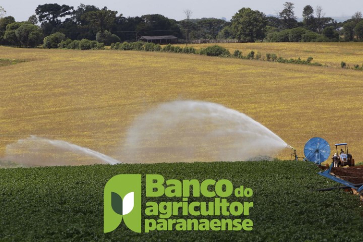 FÓRUM TÉCNICO: Banco do Agricultor será tema de live com secretário Ortigara e cooperativas paranaenses
