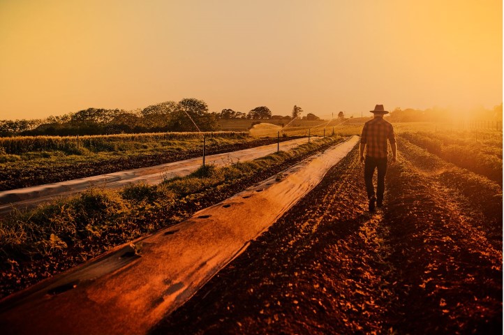 CRESOL: Campanha “Crédito para quem nunca para” destaca força do agro