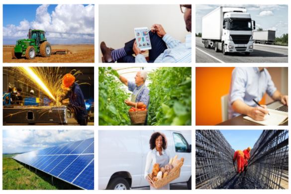 PUBLICAÇÃO: BNDES apresenta guia de produtos para cooperativas