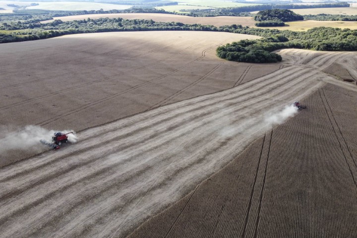 CONJUNTURA AGROPECUÁRIA: Paraná exporta menos soja no 1º quadrimestre, mas produtor tem remuneração maior