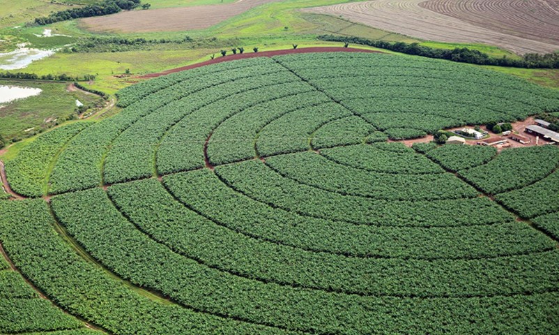 MAPA: Governo fixa ações para avaliar importação de produtos agropecuários