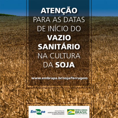 SANIDADE VEGETAL: Vazio sanitário começa nesta quinta-feira no Paraná