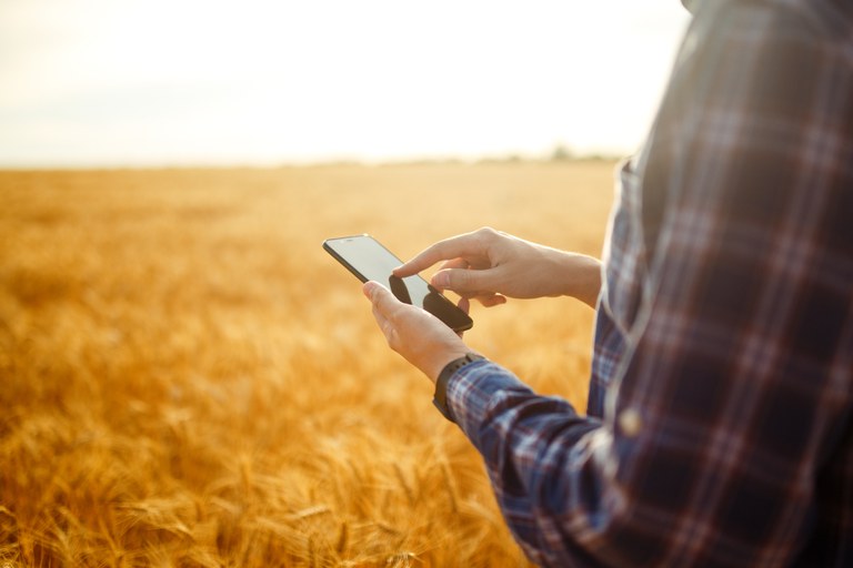 CAPAL: Cooperativa auxilia cooperados com lives sobre mercado agropecuário desde o início da safra verão 2020 