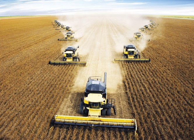 VBP: Valor da Produção Agropecuária de 2021 deve registrar aumento real de 11,8 %