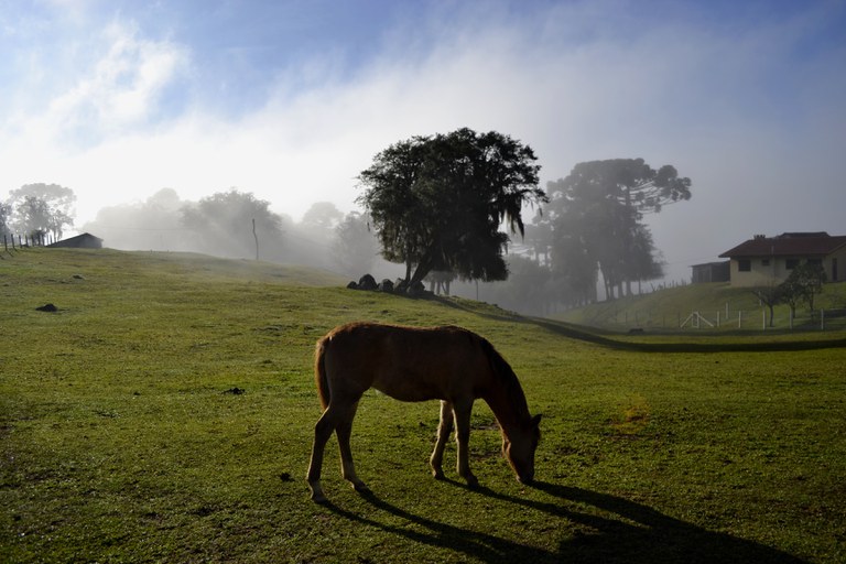 PREVISÃO DO TEMPO: Inverno no Hemisfério Sul começa no dia 21 de junho