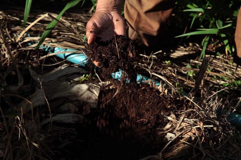 SUSTENTABILIDADE: Brasil deve ser destaque mundial no uso de bioinsumos nos próximos anos