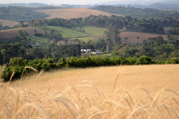 CAR: Paraná será um dos primeiros a fazer análise automática do Cadastro Ambiental Rural