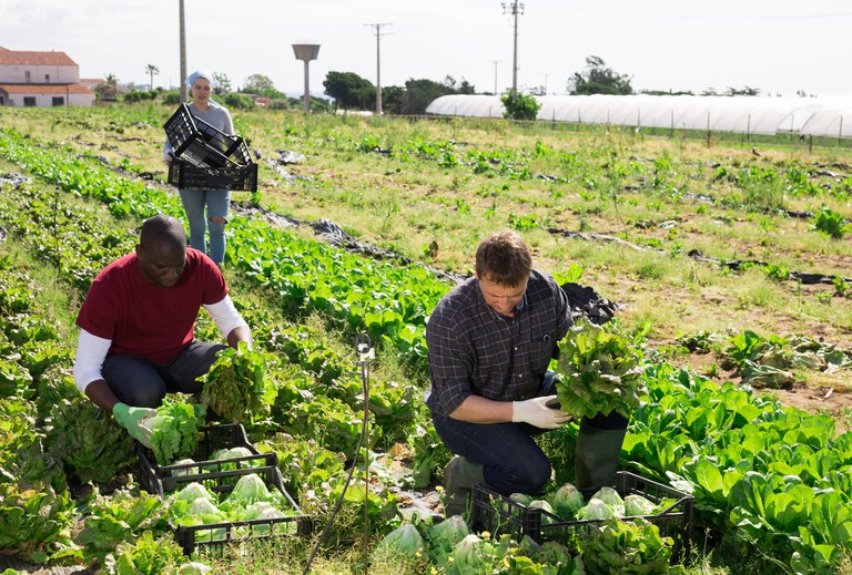 CAF: Mapa prepara novo cadastro nacional para registro de agricultores familiares