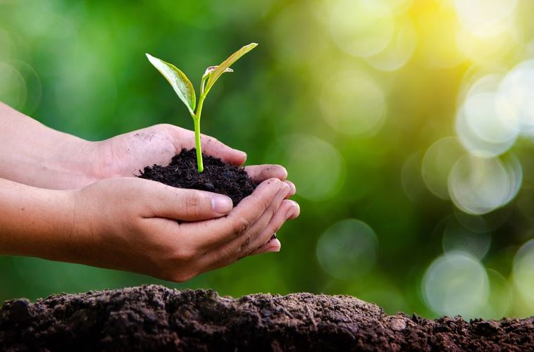 POLÍTICA AGRÍCOLA: Com R$ 27 bilhões, crédito rural atinge recorde no primeiro mês da safra 2021/2022