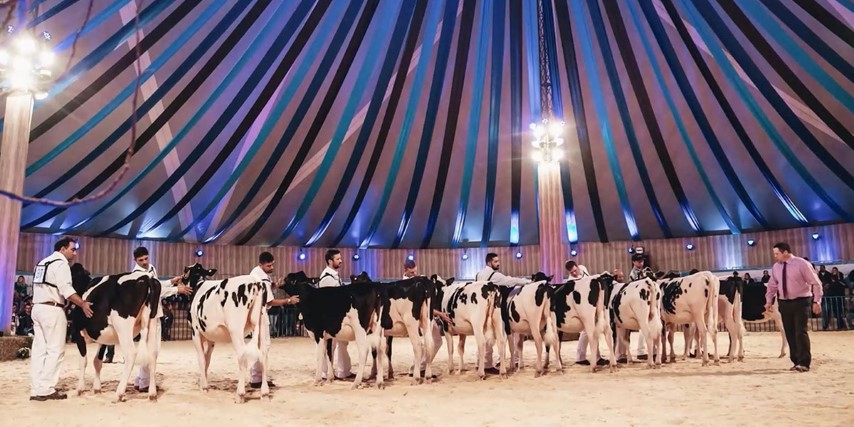 CASTROLANDA: Conexão Agroleite relembra início do evento, tradição das famílias leiteiras e presença das mulheres nas propriedades 