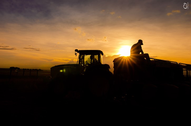 COCARI: Dia Nacional do Campo Limpo reforça a importância da destinação correta de embalagens de agrotóxicos