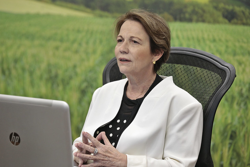 CICLO 2021/2022: Conab realiza evento on-line sobre perspectivas da agropecuária para a safra