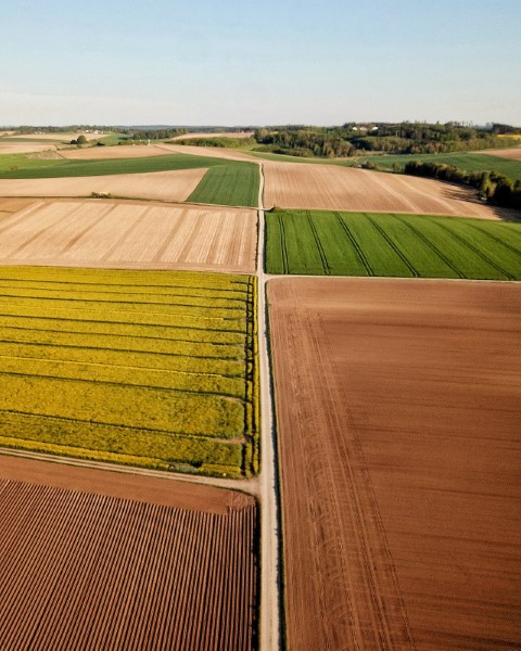 SUPERCAMPO: Produtos financeiros exclusivos, sem garantia atrelada, serão oferecidos aos cooperados por meio de parceria com banco digital do agronegócio 
