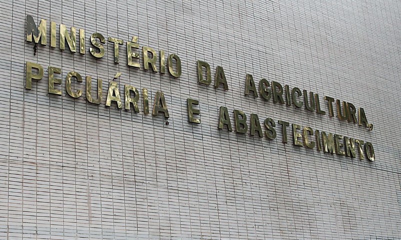 PECUÁRIA: Mapa afirma que ações de mitigação foram concluídas nos casos de vaca louca em Mato Grosso e Minas Gerais