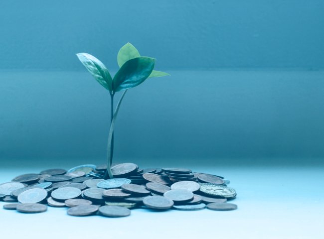 ARTIGO: Cinco dicas para melhorar sua saúde financeira