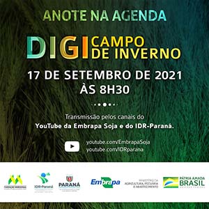 DIGICAMPO: Dia de Campo de Trigo será na sexta-feira