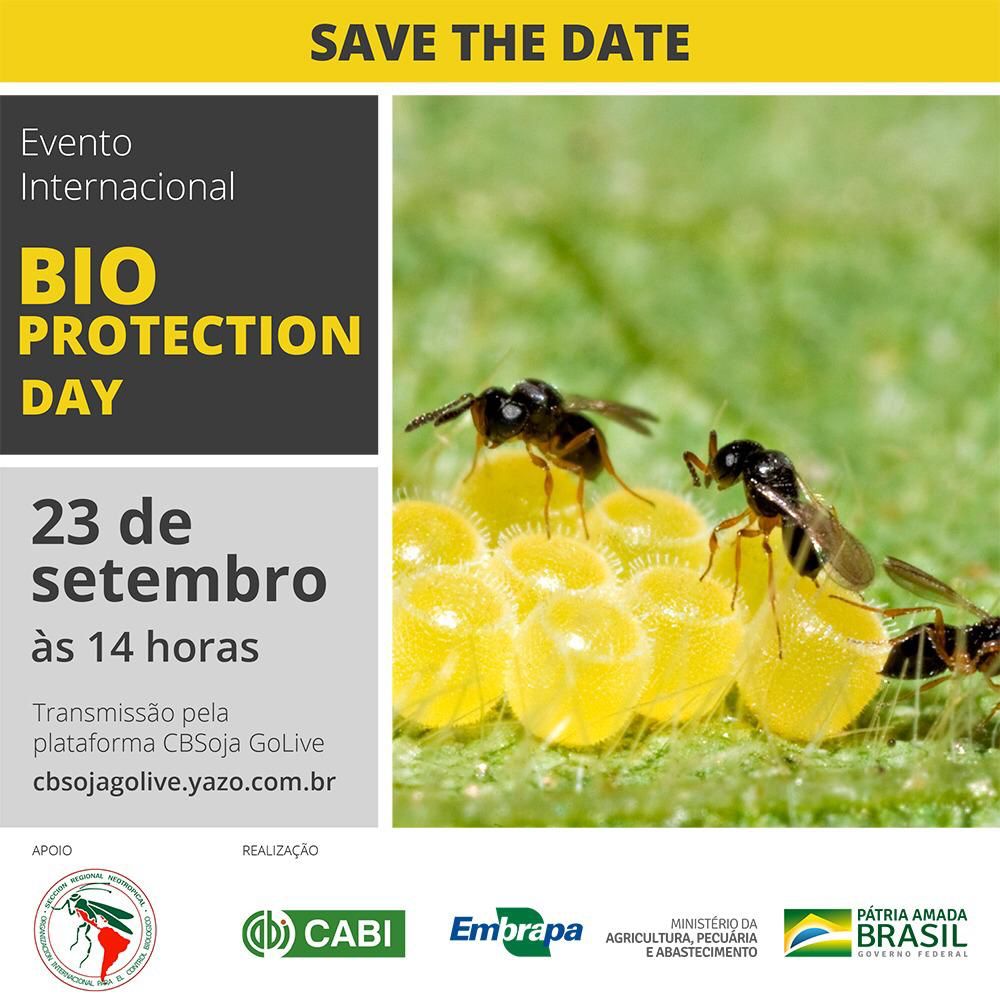 EMBRAPA SOJA: Bioinsumos será tema de evento no Dia da Bioproteção
