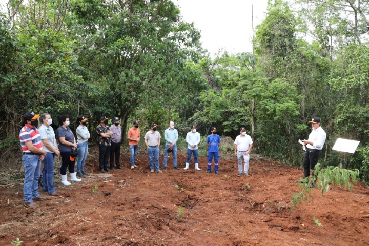 LAR: Plantio de mudas nativas reafirma compromisso e responsabilidade da cooperativa com o meio ambiente