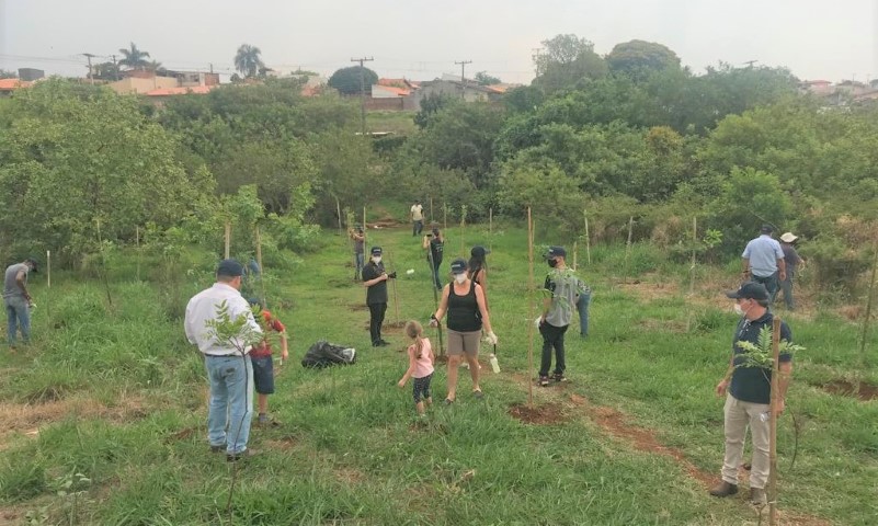 INTEGRADA: Dia da Árvore é todos os dias