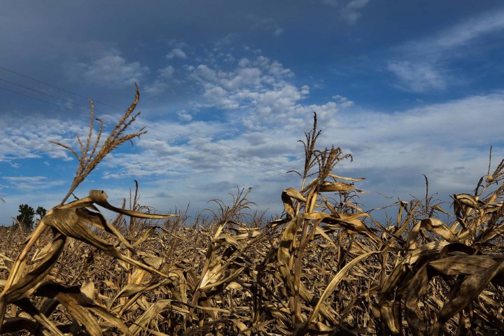 CLIMA: IDR-Paraná alerta sobre impactos de La Niña no desempenho da safra 2021-2022
