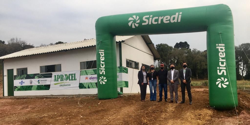 SICREDI PARQUE DAS ARAUCÁRIAS: Parceria é firmada com produtores de orgânicos de Coronel Domingos Soares (PR)