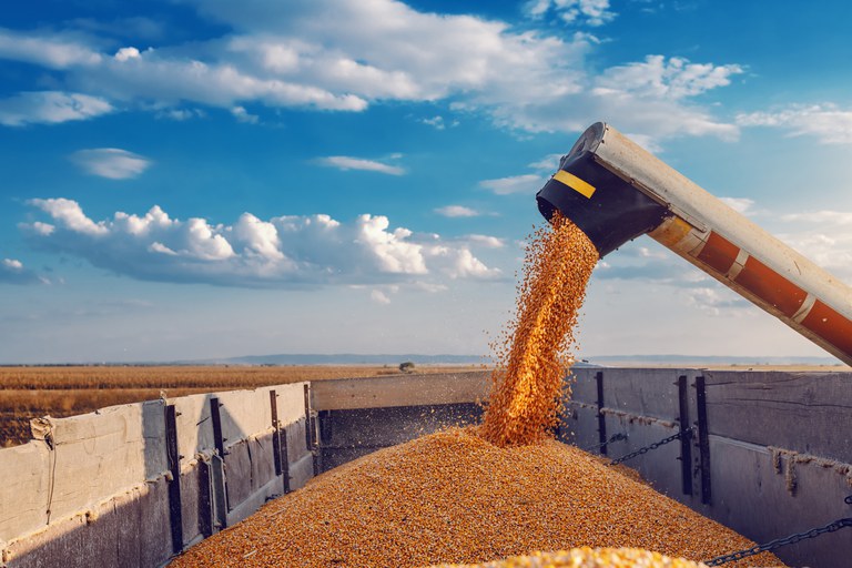 VBP: Valor Bruto da Produção Agropecuária de 2021 está estimado em R$ 1,10 trilhão