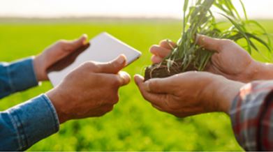 INOVACOOP: Chegou a vez das coops agro no Conexão com Startups