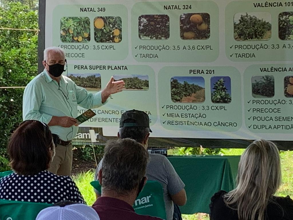 COCAMAR: Dia de Campo sobre citros é o primeiro evento híbrido