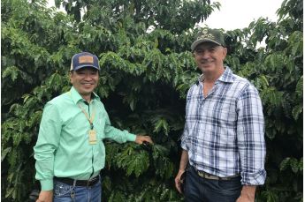 CAPAL: De pensar em desistir até ser referência em produtividade no café
