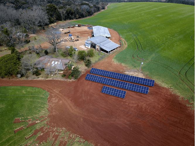 FRÍSIA: Cooperados implantam energia solar nas propriedades
