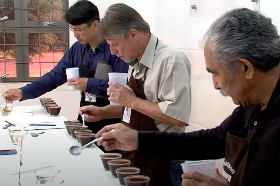 CONCURSO: Café Qualidade Paraná divulga os vencedores de 2021