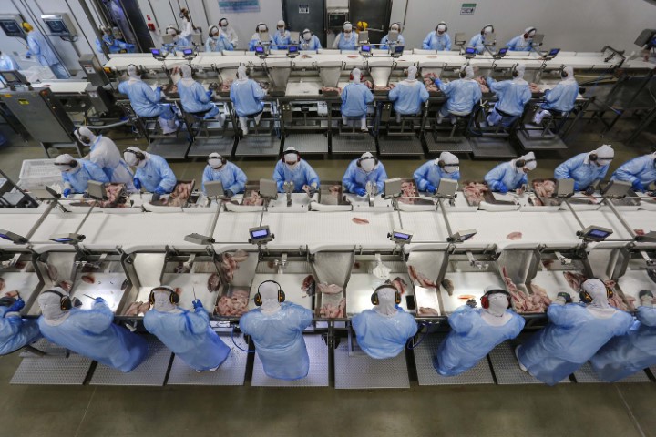 TRABALHO: Paraná tem melhor saldo de empregos de janeiro a outubro desde 2004