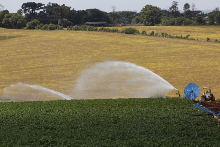 CRÉDITO: Em seis meses, Banco do Agricultor Paranaense ajudou 1.235 projetos do campo